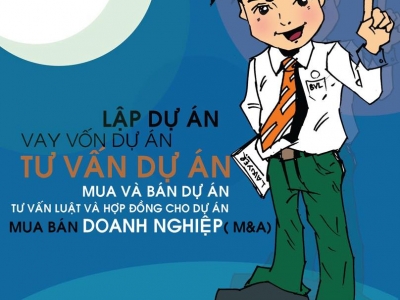 Establish company in vietnam 