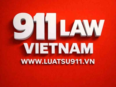 Lawyers 911 ’s service on litigation in economic disputes