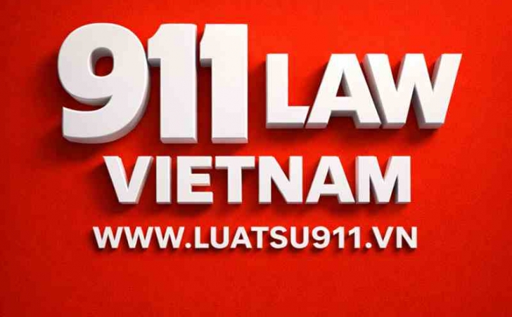 Lawyers 911 ’s service on litigation in economic disputes