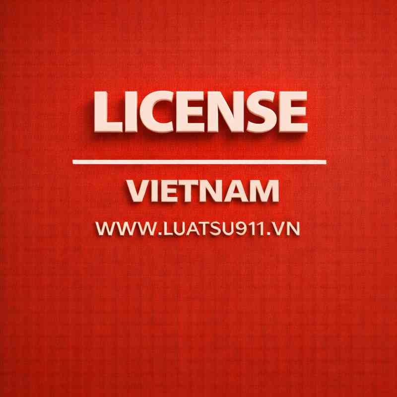 Lawyers 911’s constancy service on labour law