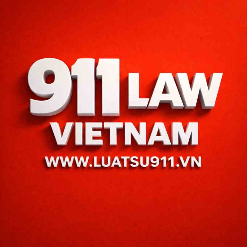 Lawyers 911 ’s service on litigation in economic disputes